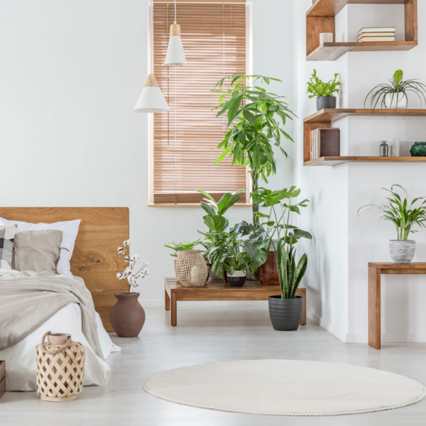 bedroom with wood floating shelves
