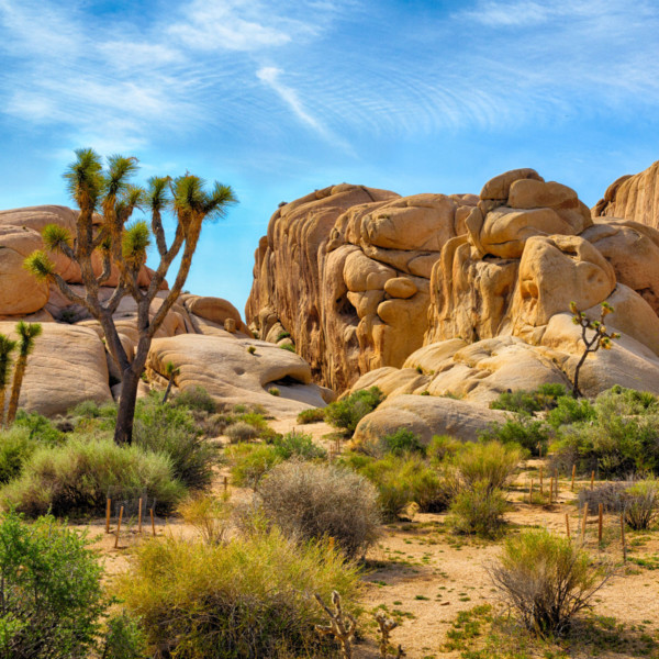 dessert rocks and mountains with greenery