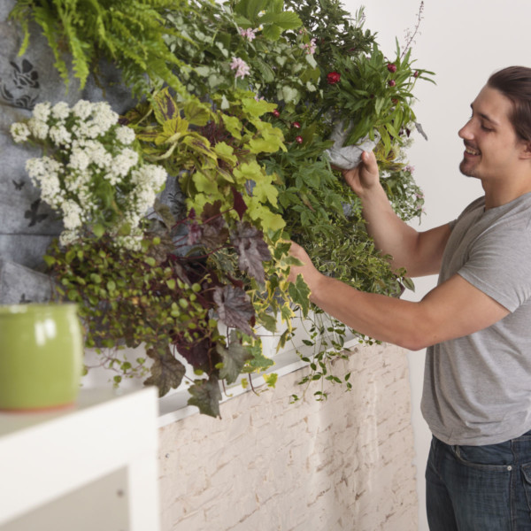 man gardening a wall garden in his backyard