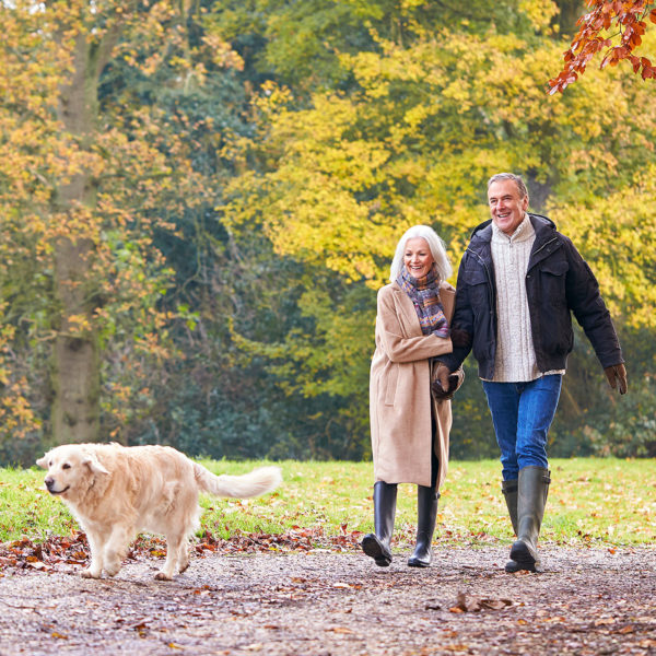 Image of a couple and their dog walking outside